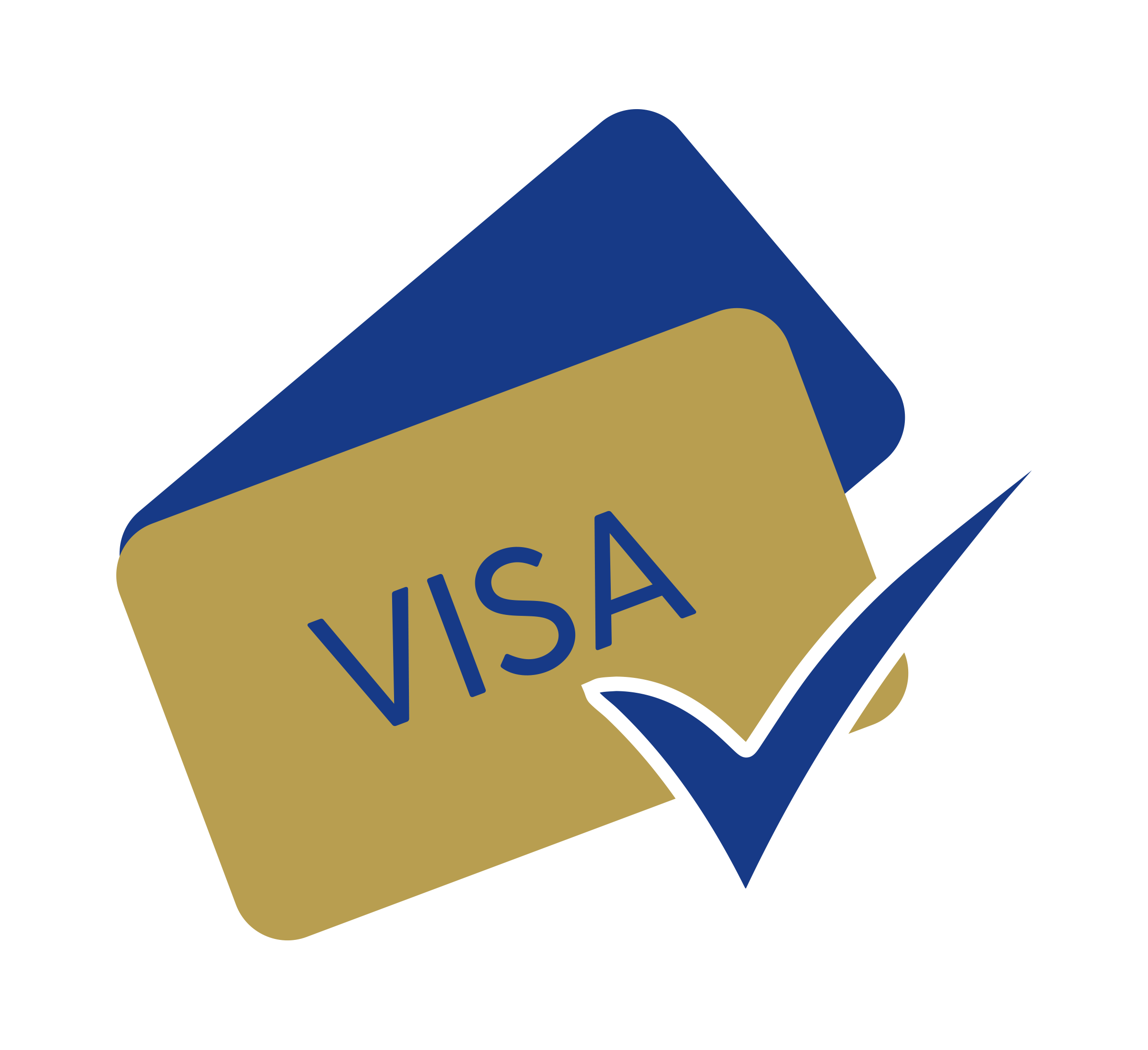 Illustration of two overlapping cards, one blue and one gold, with the word VISA on the gold card. A large blue tick overlays the cards, indicating approval or confirmation.