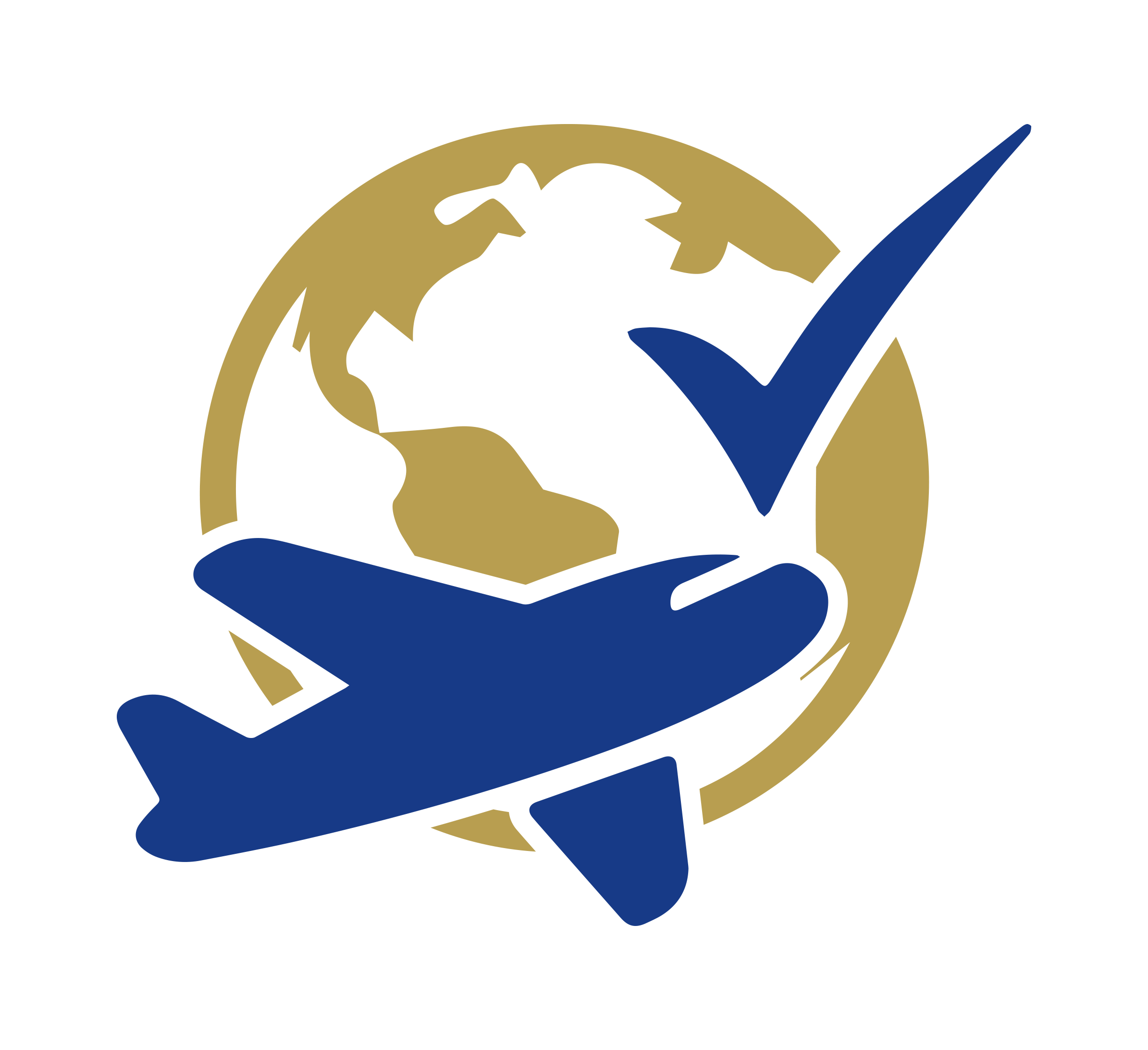 A blue aeroplane and tick symbol overlay a gold globe, representing global travel or international approval.