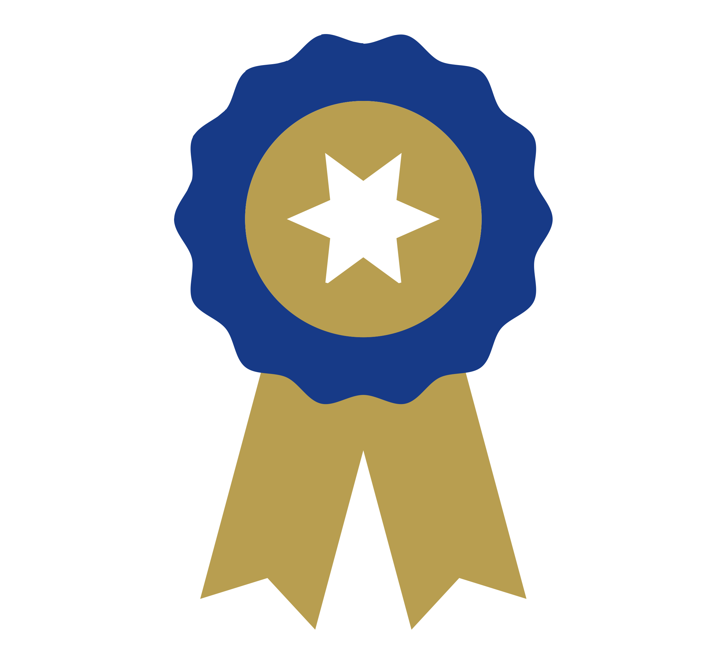 A blue and gold award rosette icon with a star in the centre, representing achievement or recognition.